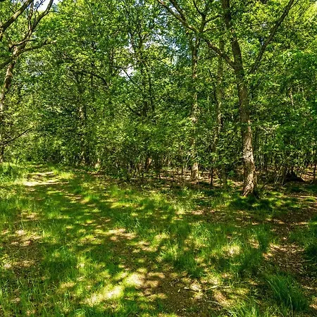 Ferienhaus 1 Bedroom Beautiful In *