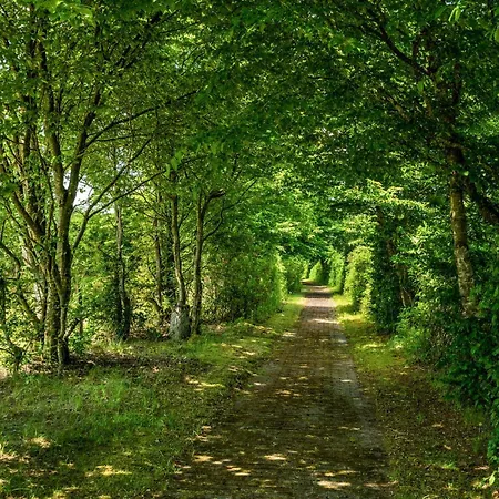 1 Bedroom Beautiful In Hampen